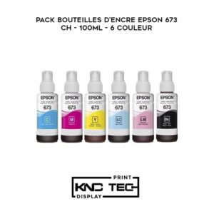 PACK BOUTEILLES D'ENCRE EPSON 673 100ML 6 COULEUR